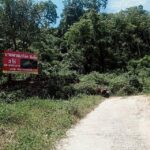 ขายที่ดินอำเภอกะทู้ ภูเก็ต… ที่ภูเก็ตวิวภูเขา ที่ดินใกล้น้ำตก