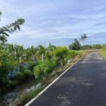 ขายด่วน ที่ดินสวยริมแม่น้ำท่าจีน อ.หันคา จ.ชัยนาท