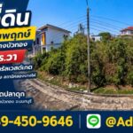 ขายที่ดินเปล่า 125 ตร.วา หมู่บ้านชัยพฤกษ์ ใกล้เซ็นทรัลเวสต์เกต |
