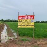 ขายที่ดินผืนใหญ่ 83 ไร่ 1 งาน 24 ตร.ว. ท่างาม เมืองปราจีนบุรี