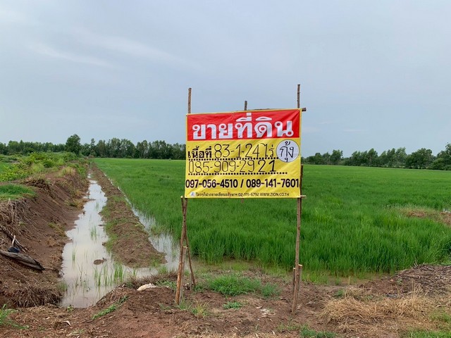 ขายที่ดินผืนใหญ่ 83 ไร่ 1 งาน 24 ตร.ว. ท่างาม เมืองปราจีนบุรี
