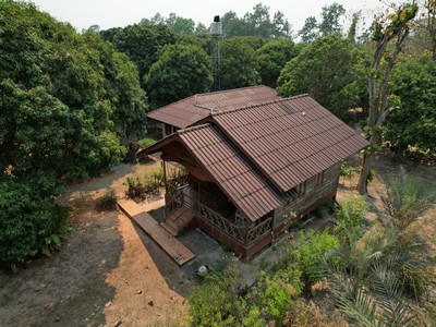 ขายที่ดินพร้อมสิ่งปลูกสร้าง สันทราย ออร์เชิร์ด 3 ไร่ 45 ตร.วา