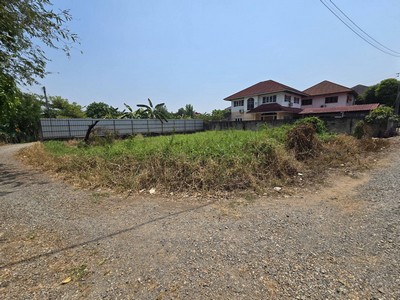 ขายที่ดิน 129.5 ตร.วา ตำหนักซอย 17 ซอยร่วมชัย ตำบลแม่เหียะ