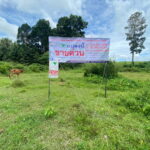 ขายที่ดิน 3-1-59 ไร่ เชียงราย – ทำเลดี ติดถนนลาดยาง