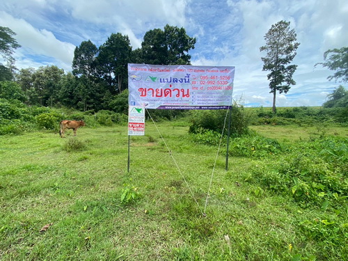 ขายที่ดิน 3-1-59 ไร่ เชียงราย – ทำเลดี ติดถนนลาดยาง
