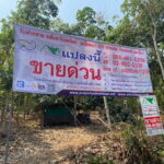 ขายที่ดินสวนยาง 40-1-39 ไร่ วิวแม่น้ำโขง – จังหวัดหนองคาย