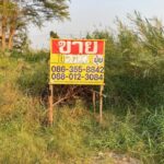 ขายที่ดิน 105 ตารางวา หลังเมกาบางนา ฝั่งคอนโดอารียา