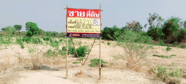ขายที่ดินเปล่า โซนปากน้ำโพ 64.2 ตรว. (หลังสนามกีฬาจังหวัดนครสวรร
