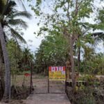 ขายที่ดินสวนมะพร้าว 3-0-17 ไร่ พร้อมสิ่งปลูกสร้าง คุ้งน้ำวน ราชบ