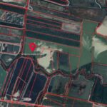 ขายที่ดินพร้อมบ่อเลี้ยงสัตว์น้ำ 90-3-48 ไร่ แพรกหนามแดง อัมพว