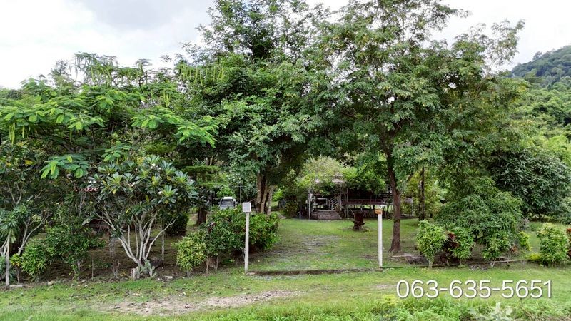 หนีฝุ่นมาฟอกปอดกัน บ้านสวนติดเขาลำดวน ต.เขาพระ อ.เมืองนครนายก