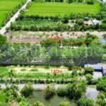 ที่ดิน 2 ไร่ พร้อมสิ่งปลูกสร้าง สไตล์คาเฟ่ ไทรน้อย – นนทบุรี ขุนศ