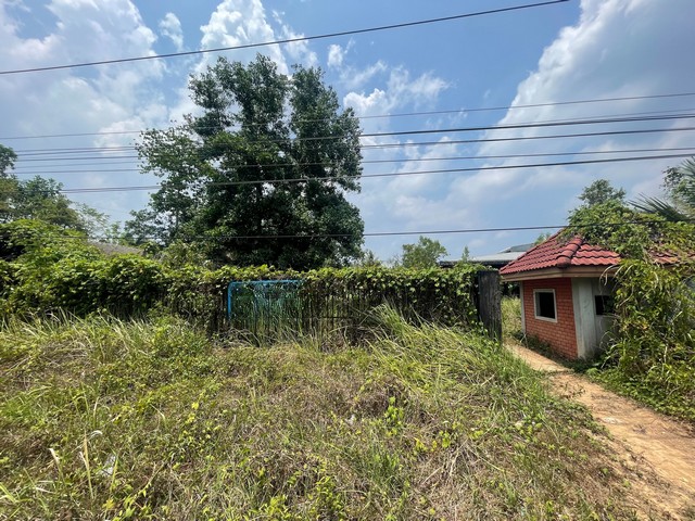 ขาย ที่ดินพร้อมสิ่งปลูกสร้าง อำเภอคุระบุรี พังงา
