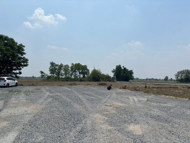ขายที่ดินติดถนน อำเภอหนองหญ้าไซ จังหวัดสุพรรณบุรี 8 ไร่ 3 งาน