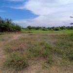 ขายที่ดินวางเปล่า ถนนสายอำเภอบรบือ-บ้านแก้งน้อย มหาสารคาม