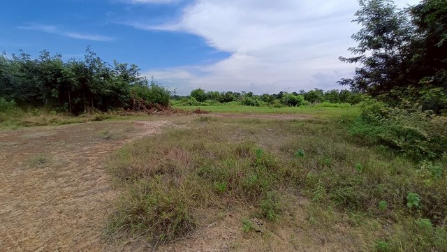 ขายที่ดินวางเปล่า ถนนสายอำเภอบรบือ-บ้านแก้งน้อย มหาสารคาม