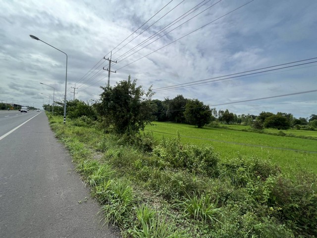 ขายที่ดินนา3-1-46ไร่ 9ล. ถนน4เลน ต.หนองแก้ว อ.เมือง ศรีสะเกษ