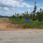 ขายที่ดิน2-2-70ไร่ 1.74ล. ฟรีโอน ต.ช่องสาริกา พัฒนานิคม ลพบุรี