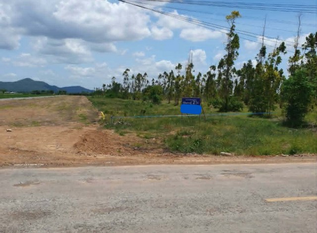 ขายที่ดิน2-2-70ไร่ 1.74ล. ฟรีโอน ต.ช่องสาริกา พัฒนานิคม ลพบุรี