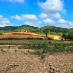 ที่วิวเขาปากช่องโคราชสูงกว่าทะเล480ม.โครงการติดลาดยาง เริ่ม200ตรว