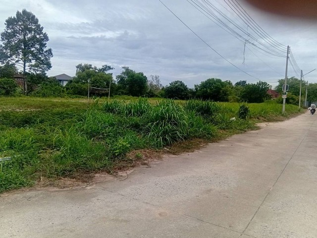 ขายที่ดินเปล่า เส้นนาพร้าว ศรีราชา แปลงสวย หัวมุม แหล่งชุมชน