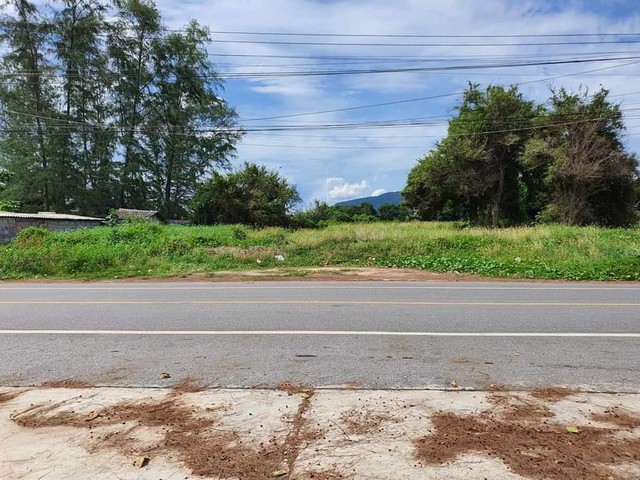 ขายที่ดินระยอง ติดถนนเลียบชายหาดแม่รำพึง ตะพง เมืองระยอง