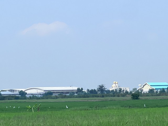 ขายที่ดินแปลงใหญ่ ทำเลทอง เดินทางสะดวก จ.พระนครศรีอยุธยา