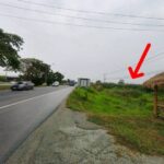 ขายที่ดินติดถนน347ปทุมธานี- บางประหัน บนเนื้อที่ 14-2-20 ไร่