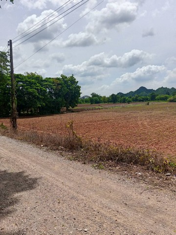 ขายที่ดิน4ไร่ ราคาไม่เกิน 3ล้าน ถนนสาธารณะเฉลิมพระเกียรติสระบุรี