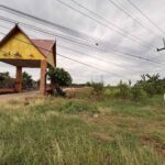 ขายที่ดินเปล่า ทำเลดี วัดป่าผาเจริญ อำเภอวังสะพุง จังหวัดเลย