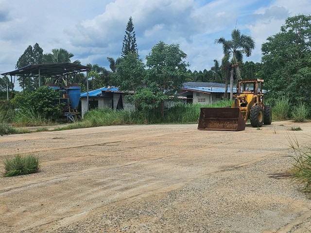 ขายที่ดินลานมันหนองเหียงพนัสนิคม 31 ไร่