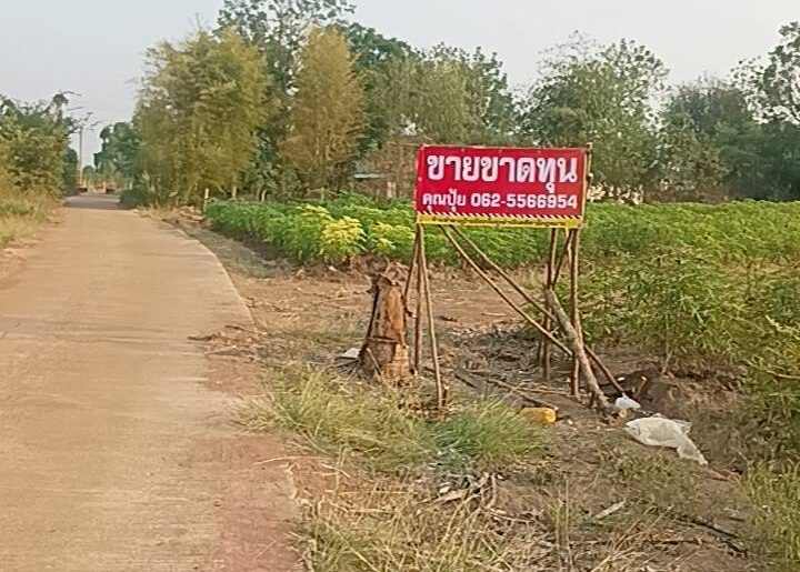 ขายที่ดินวิวภูเขา กาญจนบุรี วิวภูเขาสวย บรรยากาศธรรมชาติ