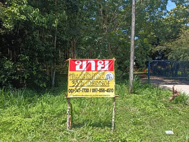 ขายที่ดินสวนยาง 33 ไร่ บางสะพาน ประจวบคิรีขันธ์ ใกล้หาดบ้านกรูด