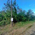 ขายที่ดินเปล่า ขนาด 337 ตร.ว. ถ.ประชาร่วมใจ เขตมีนบุรี กทม