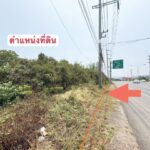 ขายที่ดินสวนลำไย เนื้อที่ 3ไร่ 262.1 ตรว ต.ม่วงน้อย ป่าซาง ลำพูน