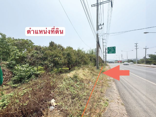 ขายที่ดินสวนลำไย เนื้อที่ 3ไร่ 262.1 ตรว ต.ม่วงน้อย ป่าซาง ลำพูน