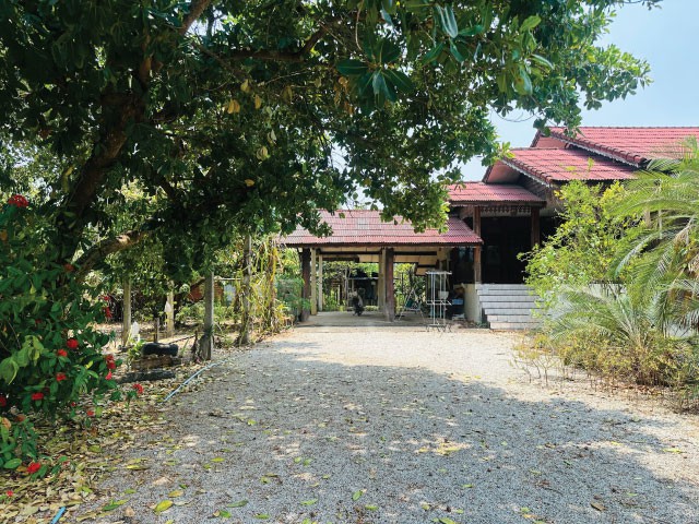 บ้านพร้อมที่ดิน ติดถนนหลัก ต.ม่วงน้อย อ.ป่าซาง ลำพูน