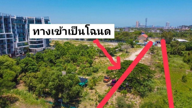 ขายที่ดิน 8 ไร่ 217 ตารางวา ฝั่งทะเล นาจอมเทียน