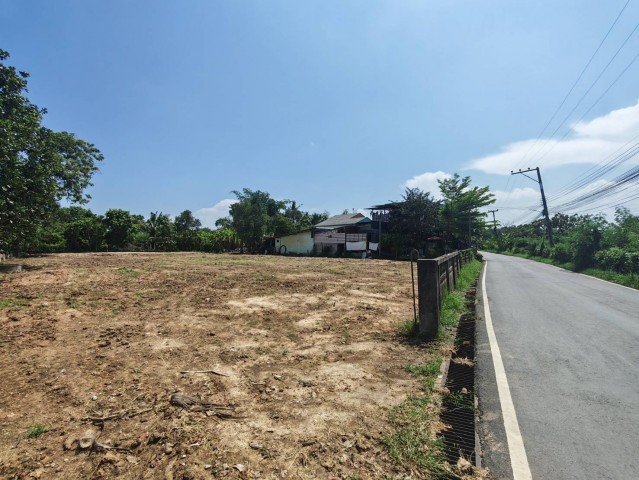 ขายที่ดิน 378ว. 4.5ล. ฟรีโอน บ้านปากกอง ต.สารภี อ.สารภี เชียงใหม่