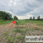 ขาย ที่ดินเปล่า ขนาด 2 ไร่ 259 ตร.วา เหมาะสำหรับทำการเกษตร ปลูกบ้