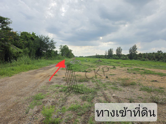 ขาย ที่ดินเปล่า ขนาด 2 ไร่ 259 ตร.วา เหมาะสำหรับทำการเกษตร ปลูกบ้
