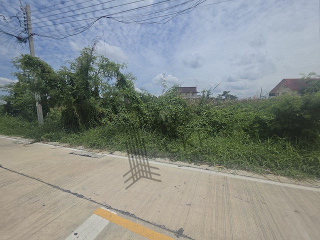 ให้เช่า ที่ดินเปล่า หัวมุม ขนาด 180 ตร.วา ติดถนนสองด้าน เหมาะทำโก