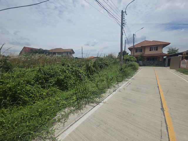 ให้เช่า ที่ดินเปล่า ขนาด 276 ตร.วา ติดถนนคอนกรีต เหมาะกับสร้างที่