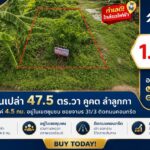 ขายที่ดินเปล่า 47.5 ตร.วา ซอยจามร 31/3 คูคต ลำลูกกา ใกล้ BTS