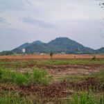 ขายที่ดินคลองกิ่ว บ้านบึง ชลบุรี แปลงสวย ทำเลดี ติด WHA 2.1