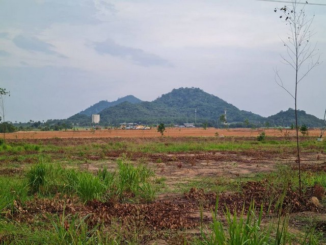 ขายที่ดินคลองกิ่ว บ้านบึง ชลบุรี แปลงสวย ทำเลดี ติด WHA 2.1