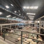 ขายโรงงานผลิตเฟอร์นิเจอร์ ใบอนุญาต รง.4 ขนาด อ.บ้านโพธิ์ จ.ฉะเชิ