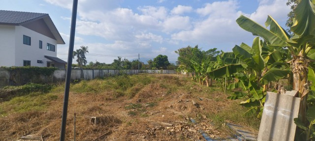 ขายที่ดินพร้อมหอพัก อำเภอสารภี เชียงใหม่ เนื้อที่