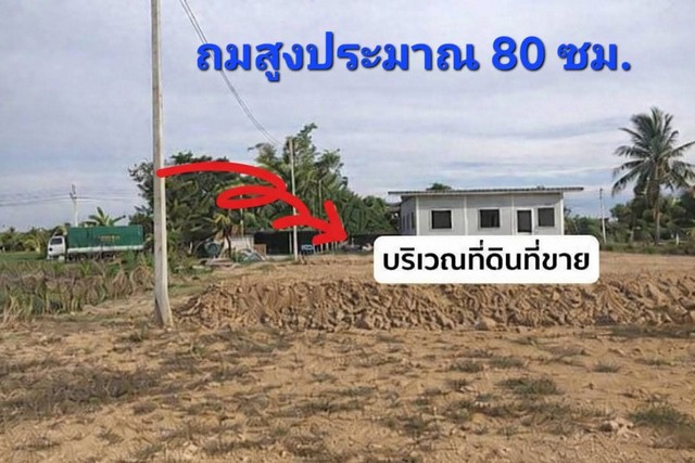 ที่ดินถมแล้ว เทศบาลเมืองสามควายเผือก จ.นครปฐม ขนาด 100 ตารางวา