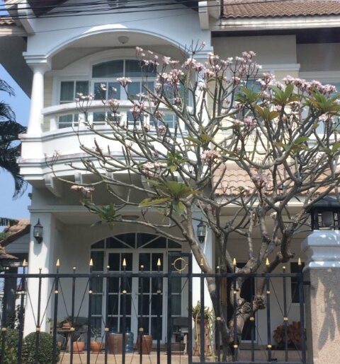 ให้เช่าบ้านเดี่ยวหมู่บ้านภัทรา70 ตร.ว ถนนรามคำแหง